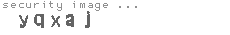 security image