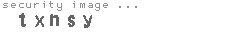 security image