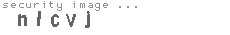 security image