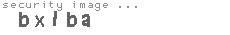 security image