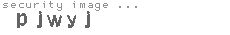 security image