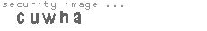 security image