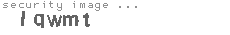 security image