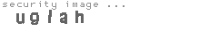 security image