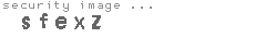 security image