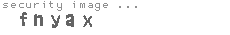 security image