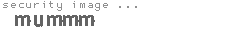 security image