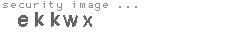security image