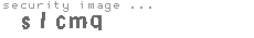 security image