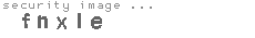 security image