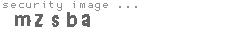 security image