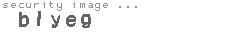 security image