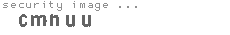 security image