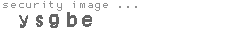 security image