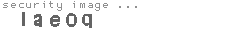 security image