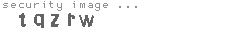 security image