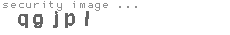 security image