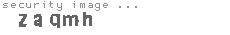 security image