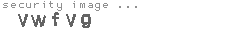 security image