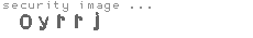 security image