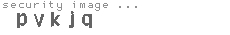 security image