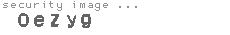 security image