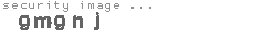 security image