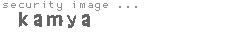 security image