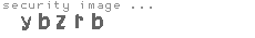 security image