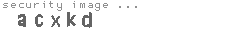 security image