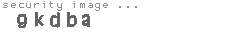 security image