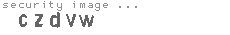 security image