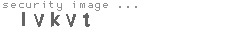 security image