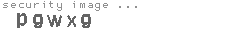 security image