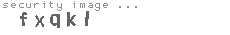security image