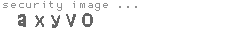 security image