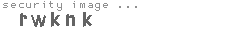 security image