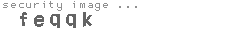 security image