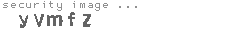security image
