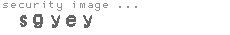 security image