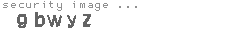security image