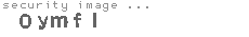 security image