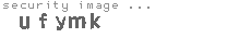 security image