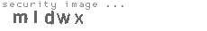 security image