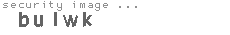 security image