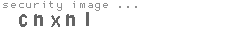 security image