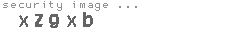 security image