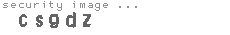 security image