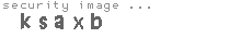 security image