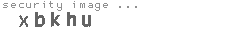 security image